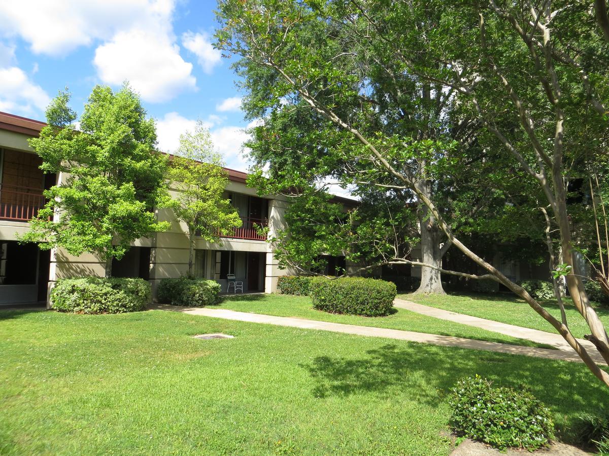 Olive Tree Hotel And Banquet Halls 잭슨 외부 사진